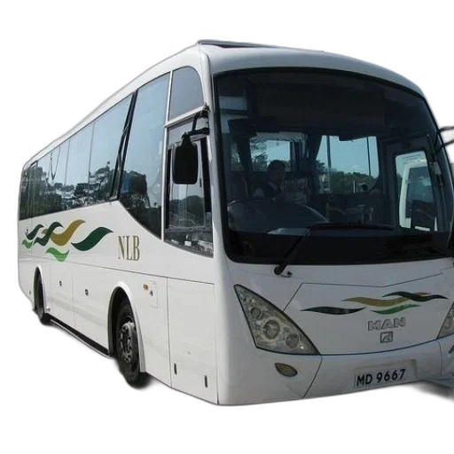 staff, 3d render, white, bus transparent PNG cut-out