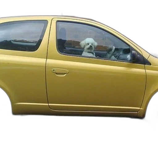 car, animal, face, staff transparent PNG cut-out