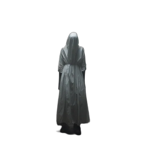 dress, jacket, staff, creature transparent PNG cut-out