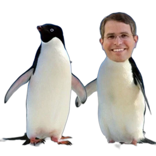 animal, 3d render, humorous, meme transparent PNG cut-out