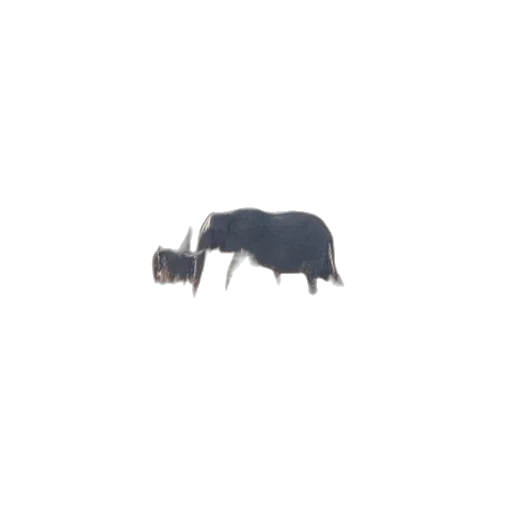 animal, furniture, creature, jewelry transparent PNG cut-out