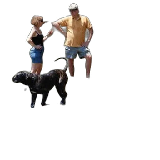 animal, creature, hat, staff transparent PNG cut-out