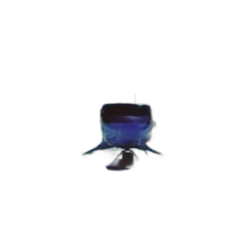 hat, staff, mask, crown transparent PNG cut-out