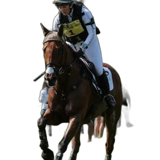staff, animal, rider, horseback transparent PNG cut-out