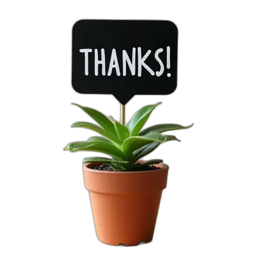 staff, small, potted, plant transparent PNG cut-out