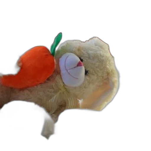 food, hat, creature, dragon transparent PNG cut-out