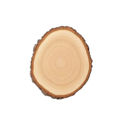tree, food, crown, hair transparent PNG cut-out