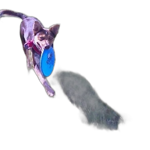 creature, animal, staff, weapon transparent PNG cut-out