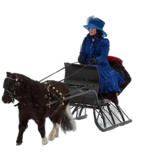 umbrella, hat, car, staff transparent PNG cut-out