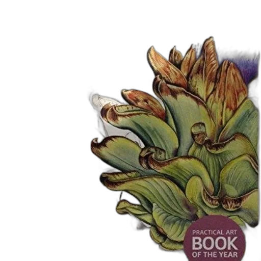 dragon, crown, creature, flower transparent PNG cut-out