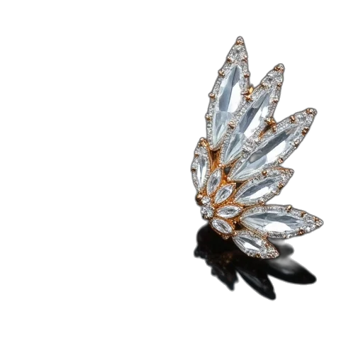 jewelry, crown, flower, hat transparent PNG cut-out