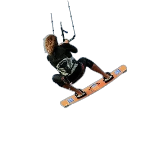 robot, weapon, hair, animal transparent PNG cut-out