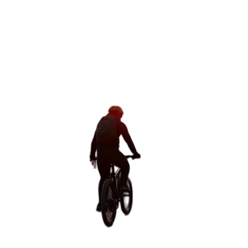 animal, creature, jacket, hair transparent PNG cut-out