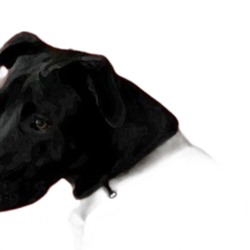 animal, staff, hat, creature transparent PNG cut-out