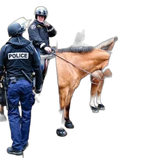 animal, weapon, staff, shoes transparent PNG cut-out