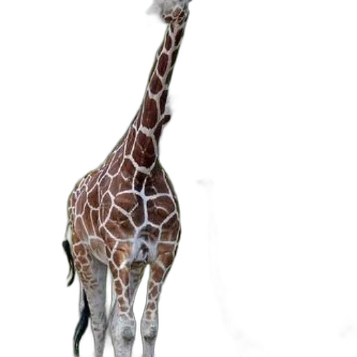animal, creature, staff, weapon transparent PNG cut-out