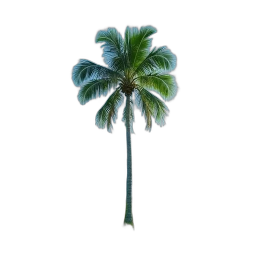 tree, umbrella, hat, staff transparent PNG cut-out