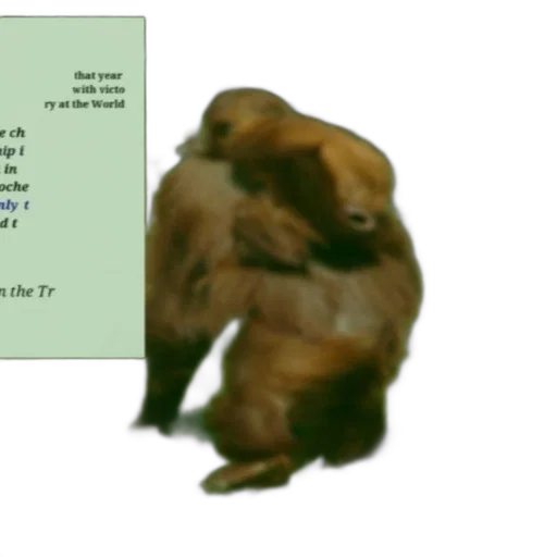 animal, creature, concept art, forest transparent PNG cut-out