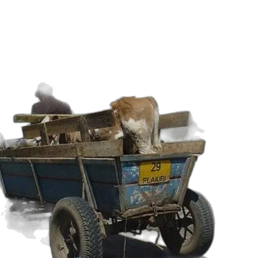car, animal, robot, furniture transparent PNG cut-out