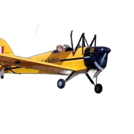 animal, car, 3d render, photorealistic transparent PNG cut-out