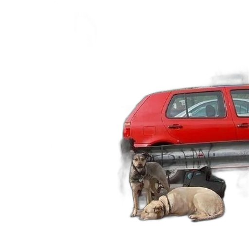 car, animal, photorealistic, concept art transparent PNG cut-out
