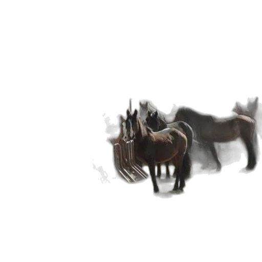 animal, creature, dragon, weapon transparent PNG cut-out