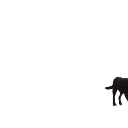 animal, creature, furniture, weapon transparent PNG cut-out