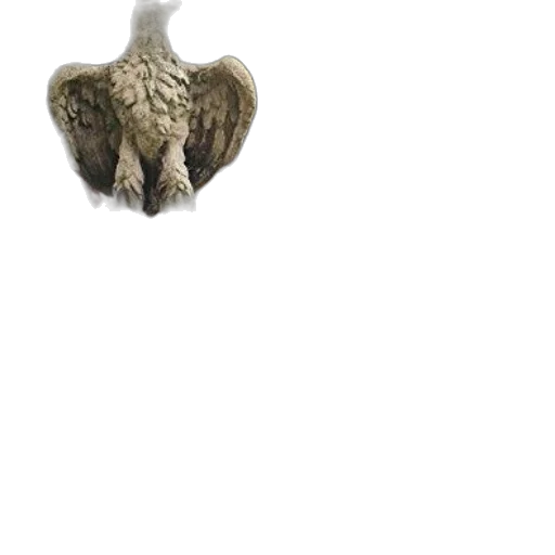 jewelry, mask, animal, crown transparent PNG cut-out