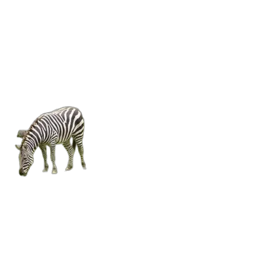 animal, creature, furniture, robot transparent PNG cut-out