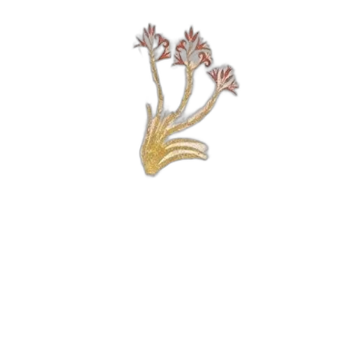 flower, crown, jewelry, creature transparent PNG cut-out