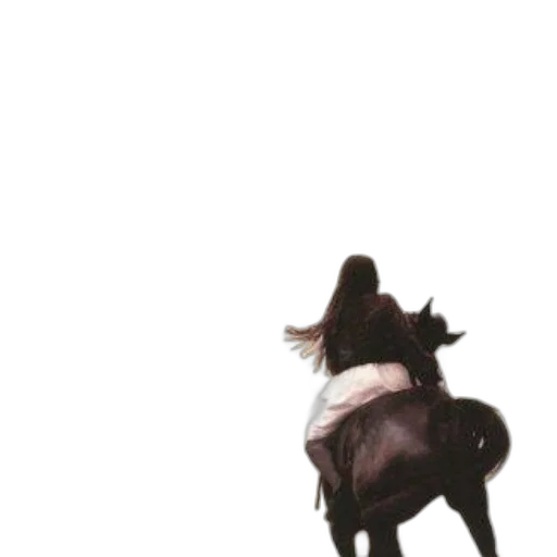 animal, hair, creature, hat transparent PNG cut-out