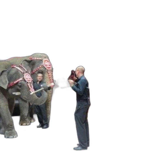 animal, creature, umbrella, concept art transparent PNG cut-out