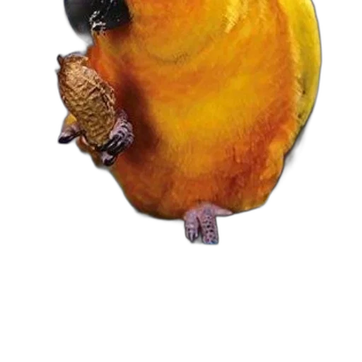 animal, creature, mask, staff transparent PNG cut-out