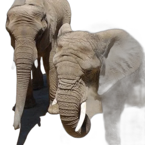 animal, creature, weapon, staff transparent PNG cut-out