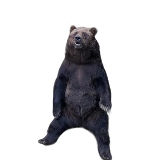 animal, creature, staff, 3d render transparent PNG cut-out