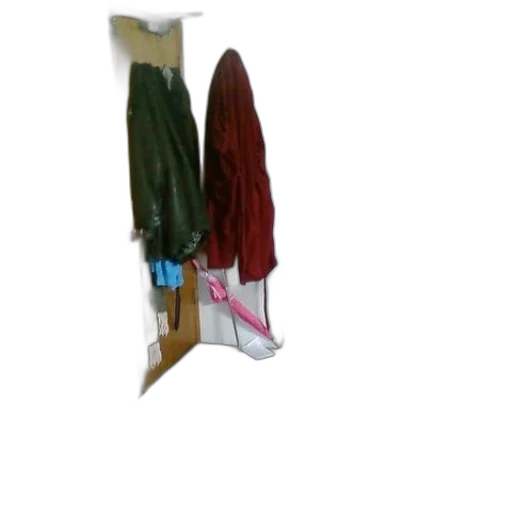 jacket, shoes, staff, dress transparent PNG cut-out