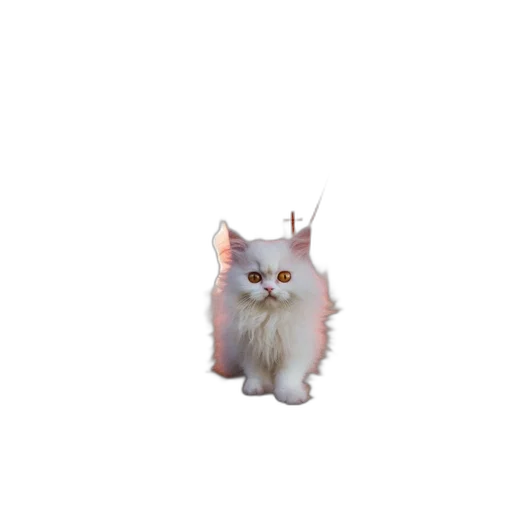 animal, creature, staff, hair transparent PNG cut-out