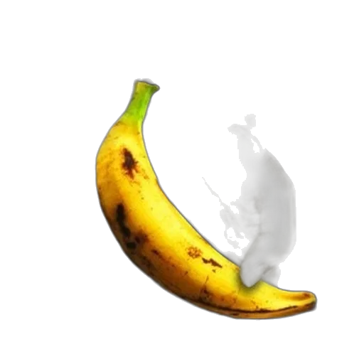 food, animal, crown, weapon transparent PNG cut-out