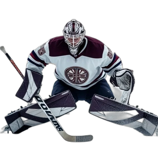 animal, mask, ice, hockey transparent PNG cut-out