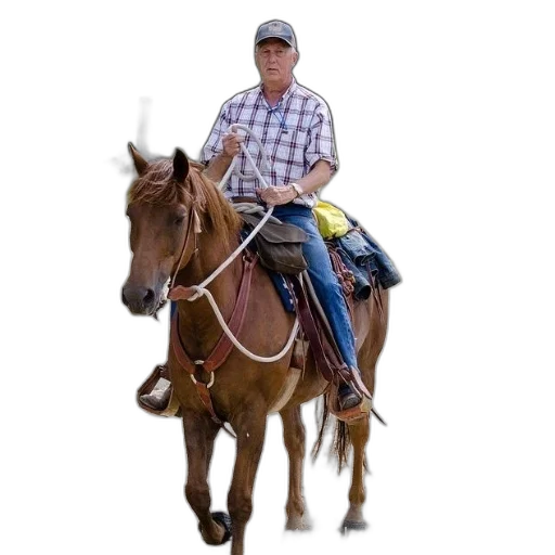 staff, animal, hat, jacket transparent PNG cut-out