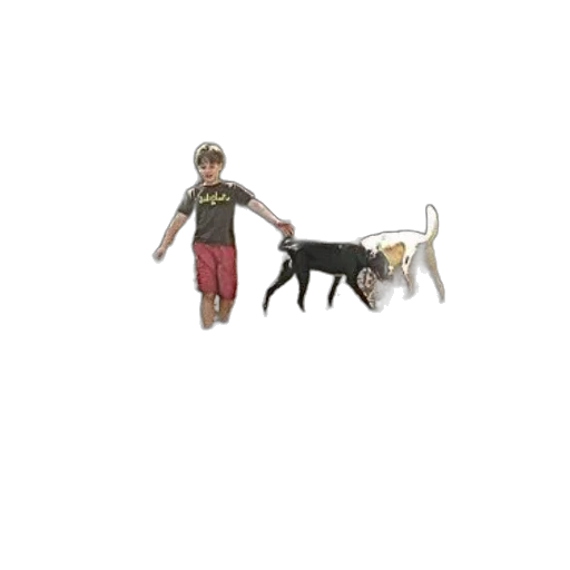 animal, creature, staff, weapon transparent PNG cut-out