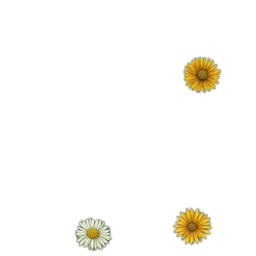 flower, crown, jewelry, weapon transparent PNG cut-out