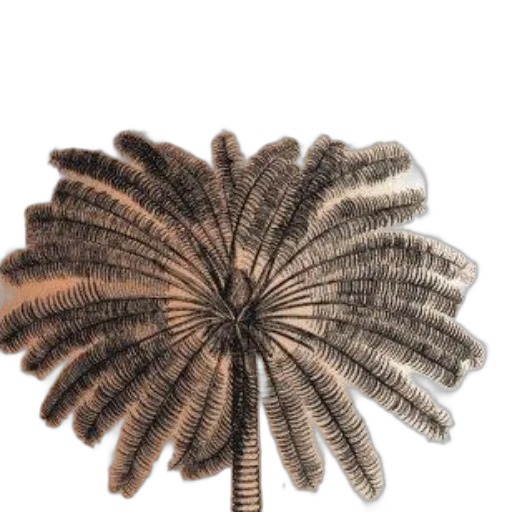 hair, crown, jewelry, staff transparent PNG cut-out