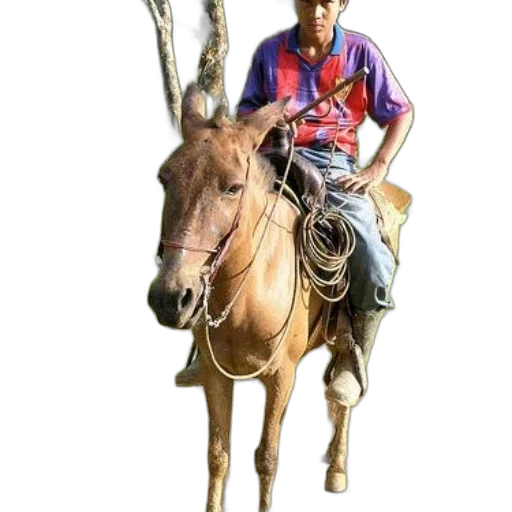 animal, staff, weapon, jewelry transparent PNG cut-out