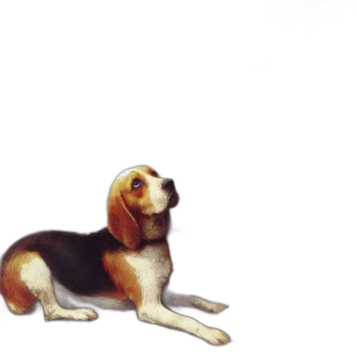 animal, creature, staff, food transparent PNG cut-out