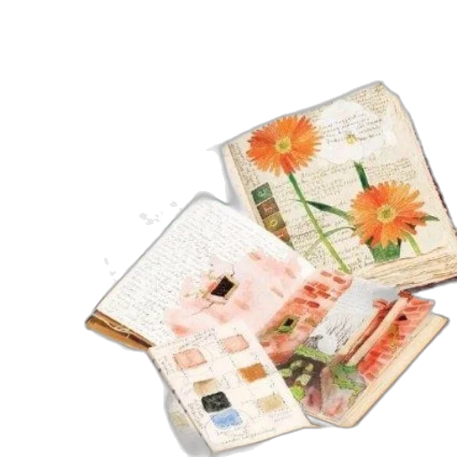 flower, furniture, jewelry, watercolor transparent PNG cut-out