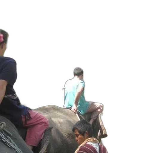 staff, animal, group, people transparent PNG cut-out