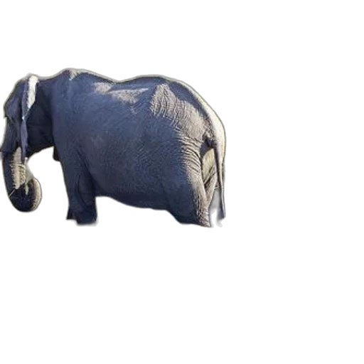 animal, creature, weapon, staff transparent PNG cut-out