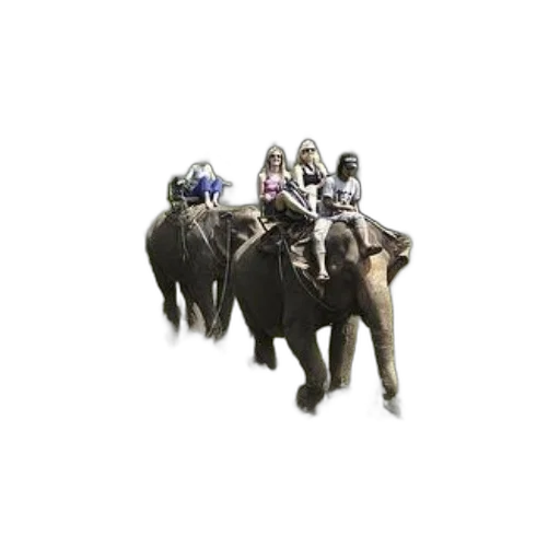 animal, jewelry, concept art, 3d render transparent PNG cut-out