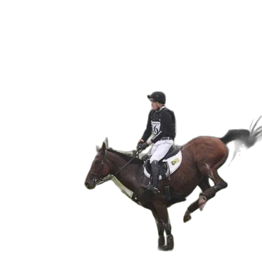 animal, staff, 3d render, photorealistic transparent PNG cut-out